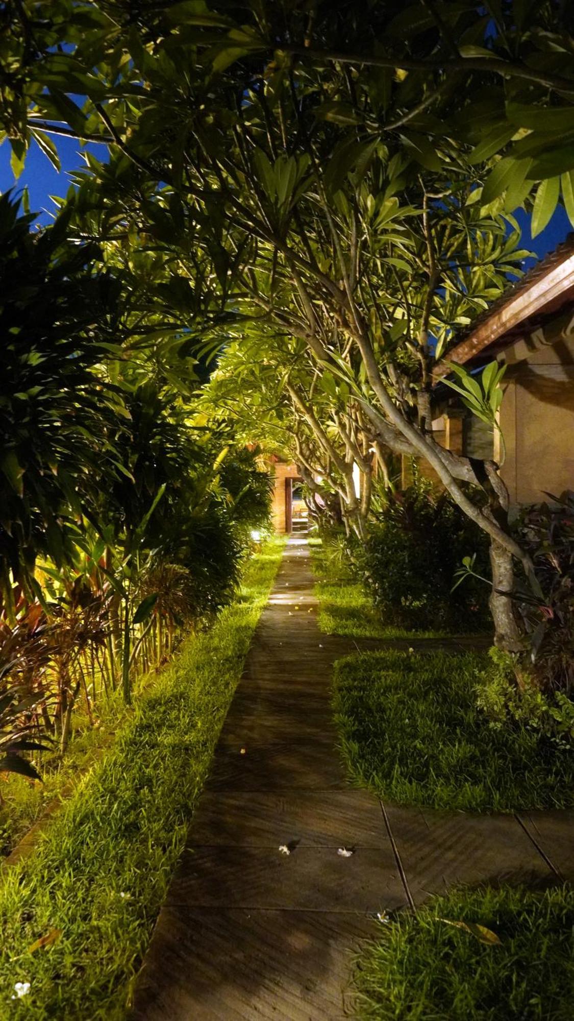 Oma In Pemuteran Bali Daire Dış mekan fotoğraf